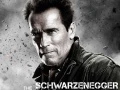 Arnold Schwarzenegger