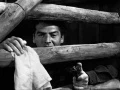 Victor Mature