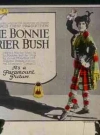 The Bonnie Brier Bush