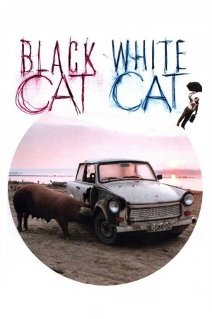 Gato negro, gato blanco