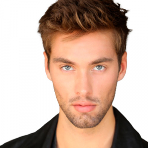Austin North, Shepley en Un desastre es para siempre