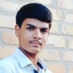 Sarwan Ali Palijo