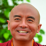 Yongey Mingyur Rinpoche