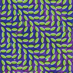 Animal Collective