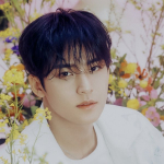 Kim Mingyu