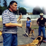 André Noël