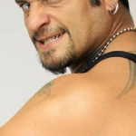 Cibernético