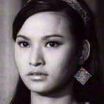 Hsin Fang