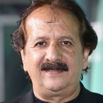 Majid Majidi