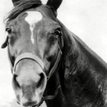Man o' War