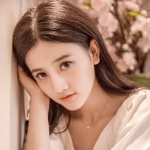 Xinyu Han