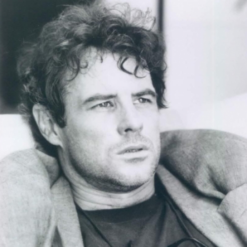 Brad Davis Películas, Series