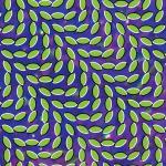 Animal Collective