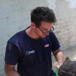 Axel Tarifa