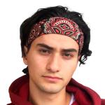Cengiz Al