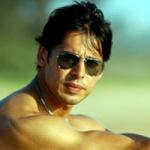 Dino Morea