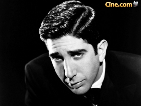 David Schwimmer