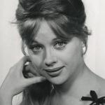 Judy Gringer