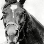 Man o' War
