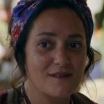 Neshe Demir