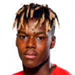Nico Williams