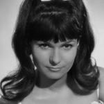 Petra von der Linde