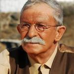 Savas Dinçel
