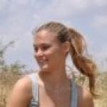 Shai Avivi