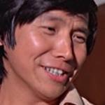 Shan Hua
