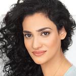Sue Shaheen