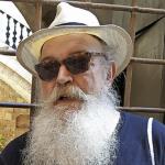 Vicenç Manel Domènech