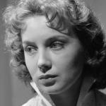 Yelena Dobronravova