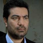 Yener Sezgin