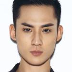 Zhao Wen Hao