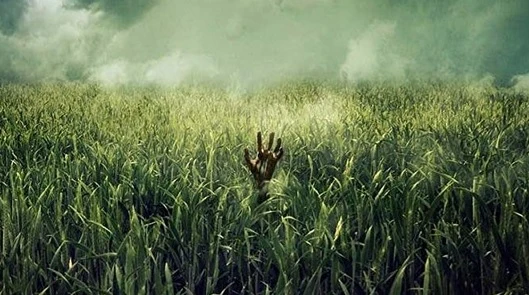'En la hierba alta' nueva adaptación de Stephen King
