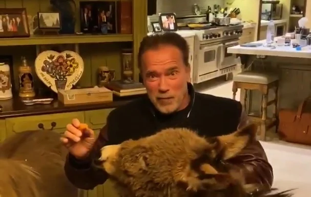 Arnold Schwarzenegger, su poni y su burro te piden que te quedes en casa