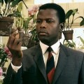Noticia Sidney Poitier, el actor de 'Adivina quién viene esta noche' y 'En el calor de la noche', muere a los 94 años
