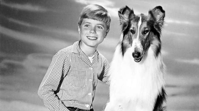 Jon Provost y Lassie