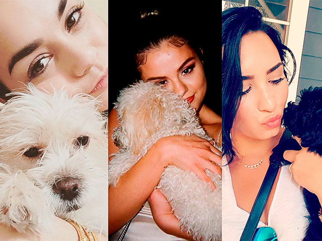 Celebridades con sus adorables mascotas