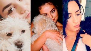 Celebridades con sus adorables mascotas