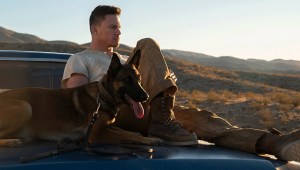 Los perros podrán acompañar a sus dueños al cine