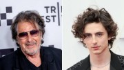 Noticia Al Pacino quiere a Timothée Chalamet para interpretar su personaje en la secuela de 'Heat'