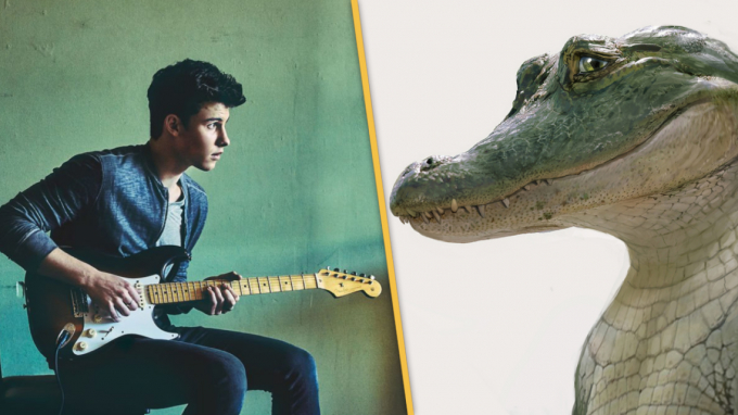Lyle Shawn Mendes