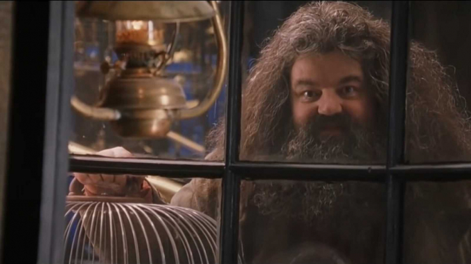 Robbie Coltrane: El actor de Harry Potter muere a los 72 años.