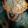 Noticia El hongo Cordyceps protagonista de la serie 'The Last of Us'