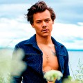 Noticia Harry Styles pillado en público con una famosa modelo internacional