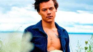 Harry Styles pillado en público con una famosa modelo internacional