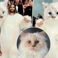 Noticia Met Gala 2023: Jared Leto se disfraza de Choupette, la gata de Karl Lagerfeld