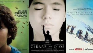 La Academia anuncia las tres candidatas para representar a España en los Óscar