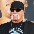 Noticia La carrera de Hulk Hogan: Del ring al cine y de vuelta al ring